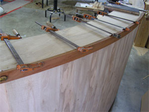 Dry Rot 2