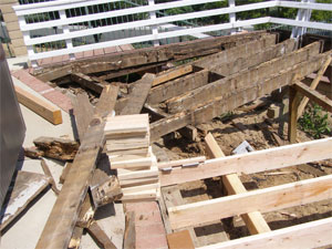 Dry Rot 2