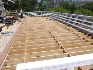 Dry Rot